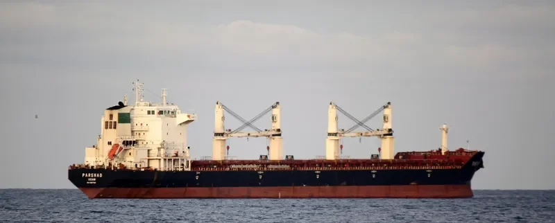 PARSHAD Bulk Carrier IMO 9387786 photo 5