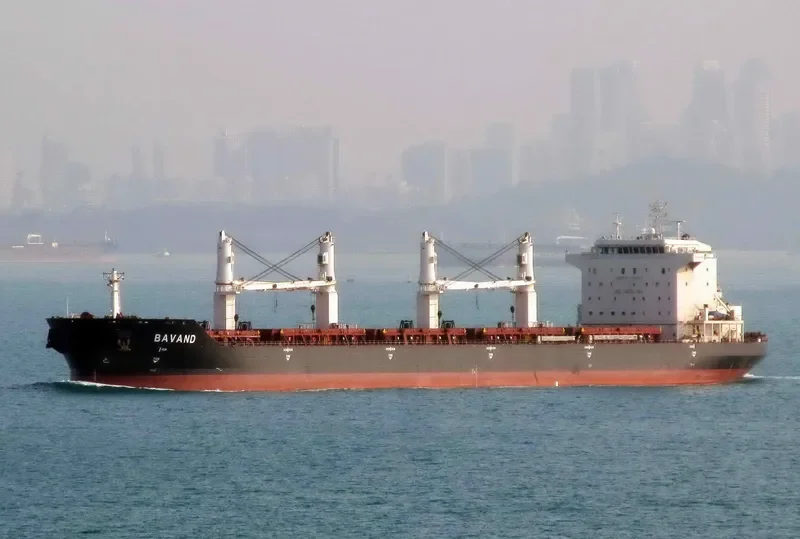 BAVAND Bulk Carrier IMO 9387798 photo 3