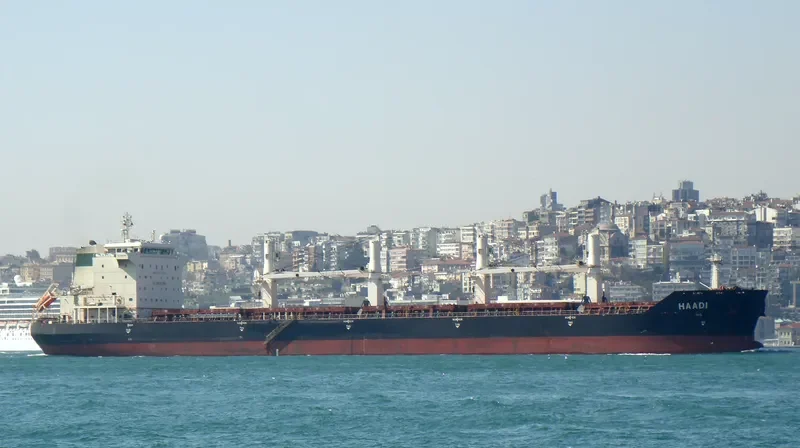 BAVAND Bulk Carrier IMO 9387798 photo 5