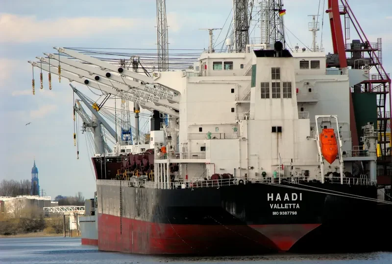 BAVAND Bulk Carrier IMO 9387798 photo 7