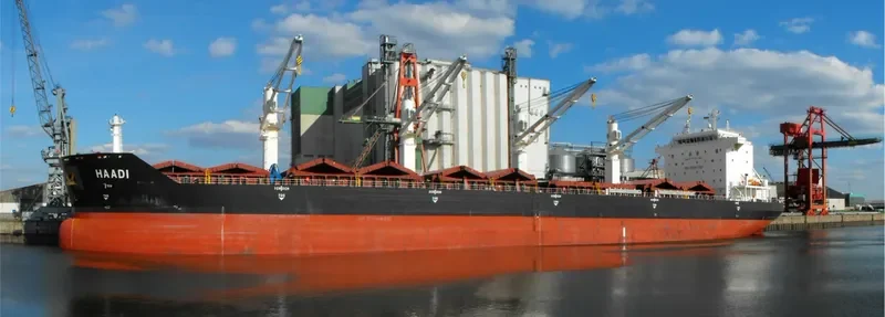 BAVAND Bulk Carrier IMO 9387798 photo 8
