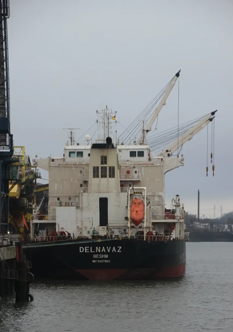 DELNAVAZ Bulk Carrier IMO 9387803