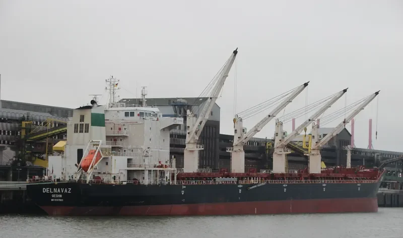 DELNAVAZ Bulk Carrier IMO 9387803 photo 2