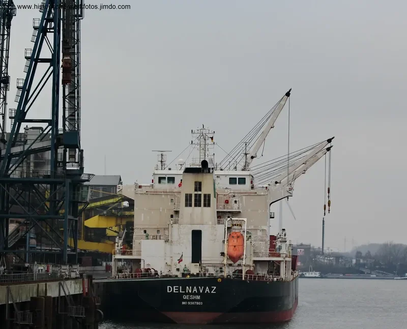 DELNAVAZ Bulk Carrier IMO 9387803 photo 3