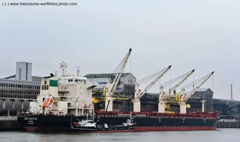 DELNAVAZ Bulk Carrier IMO 9387803 photo 4
