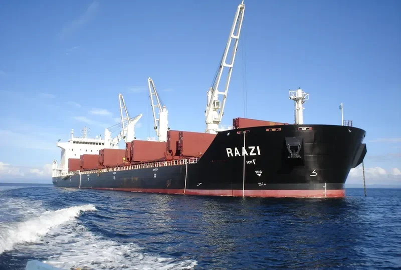 DELNAVAZ Bulk Carrier IMO 9387803 photo 5