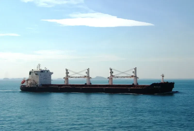DELNAVAZ Bulk Carrier IMO 9387803 photo 6