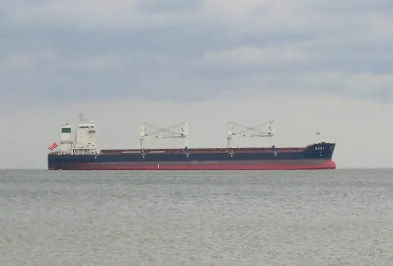 OURA Bulk Carrier IMO 9387815