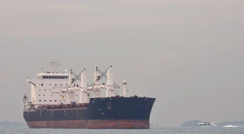 OURA Bulk Carrier IMO 9387815 photo 4