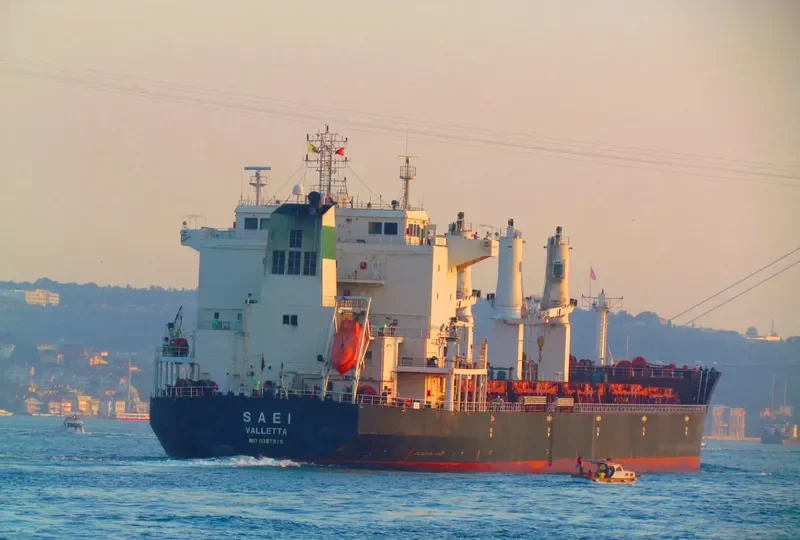 OURA Bulk Carrier IMO 9387815 photo 5