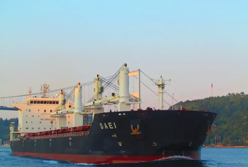 OURA Bulk Carrier IMO 9387815 photo 6