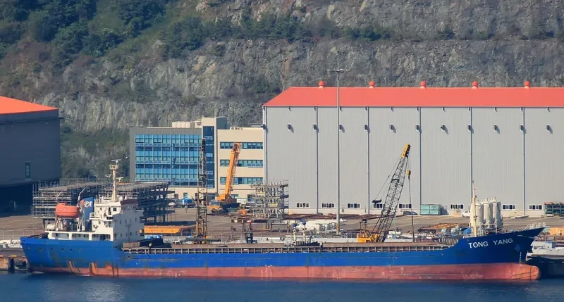 TONG YANG General Cargo IMO 9387968 photo 2