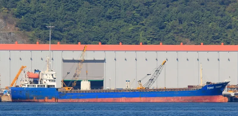 TONG YANG General Cargo IMO 9387968 photo 3