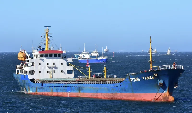 TONG YANG General Cargo IMO 9387968 photo 6