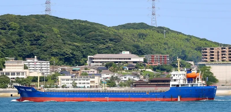 TONG YANG General Cargo IMO 9387968 photo 9