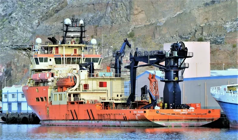 SUBTECH PALADIN General Cargo IMO 9388091 photo 2
