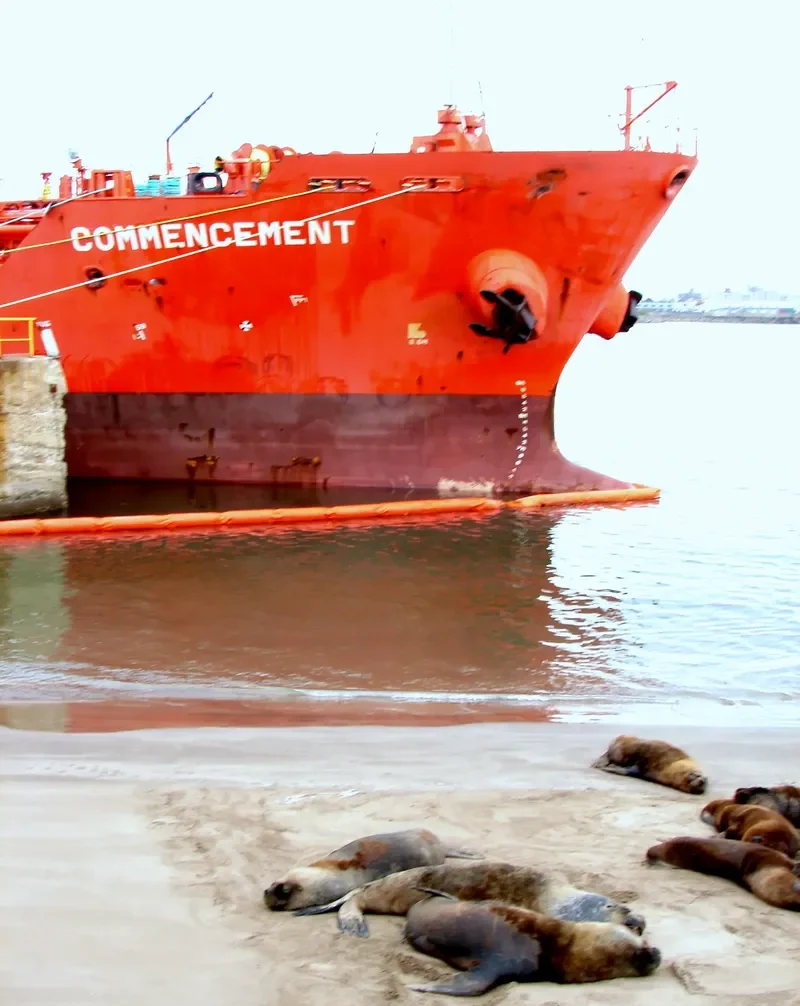 COMMENCEMENT Tanker IMO 9388211 photo 4