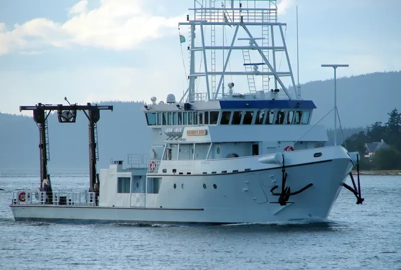 SHARP General Cargo IMO 9388443 photo 7