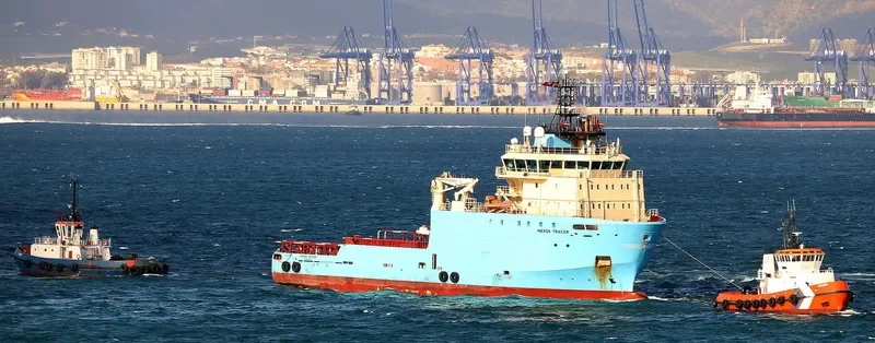MAERSK TRACER General Cargo IMO 9388613 photo 7
