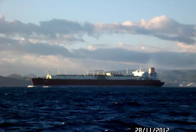 LIJMILIYA General Cargo IMO 9388819 photo 4