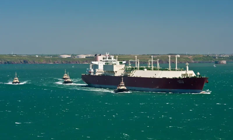 LIJMILIYA General Cargo IMO 9388819 photo 8