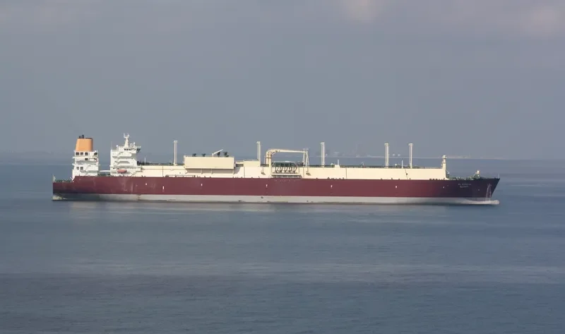 AL SAMRIYA General Cargo IMO 9388821 photo 3