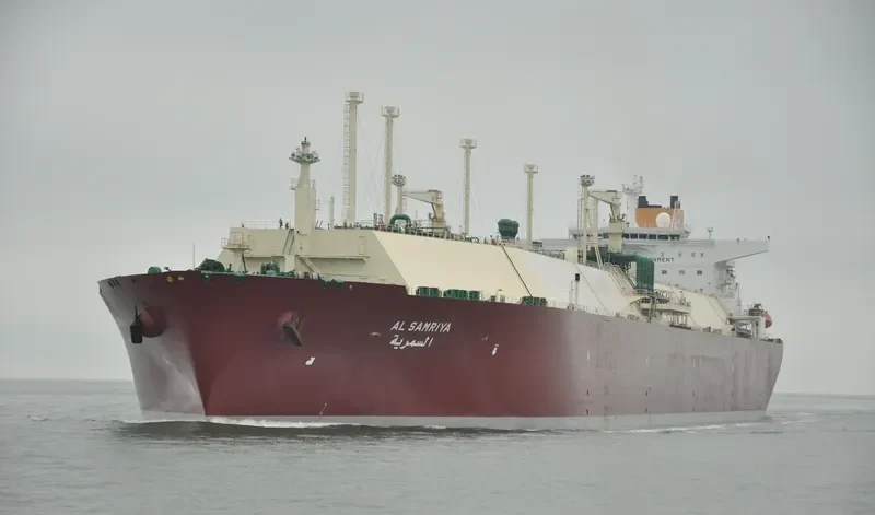 AL SAMRIYA General Cargo IMO 9388821 photo 7