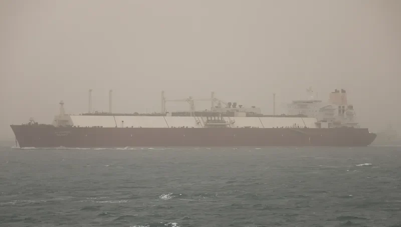 AL SAMRIYA General Cargo IMO 9388821 photo 9
