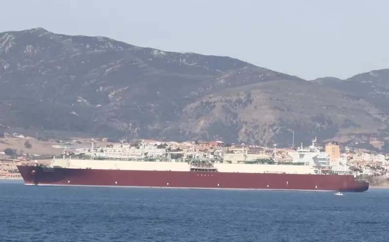 BU SAMRA General Cargo IMO 9388833 photo 9