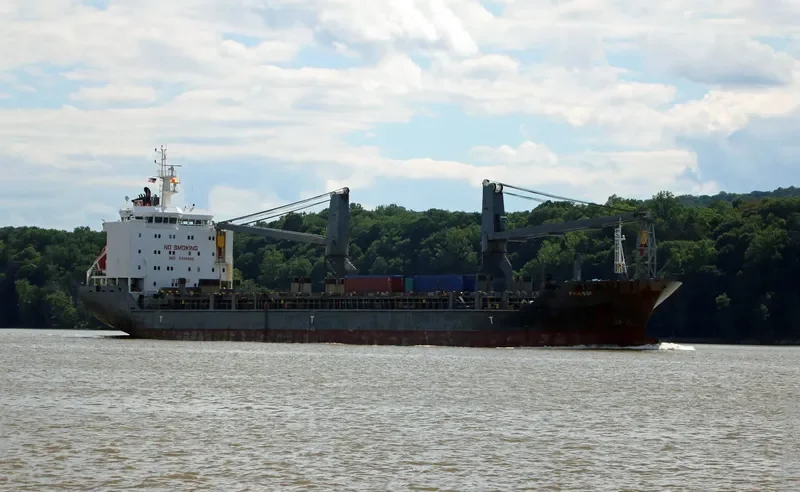 LISA AUERBACH General Cargo IMO 9388900 photo 3