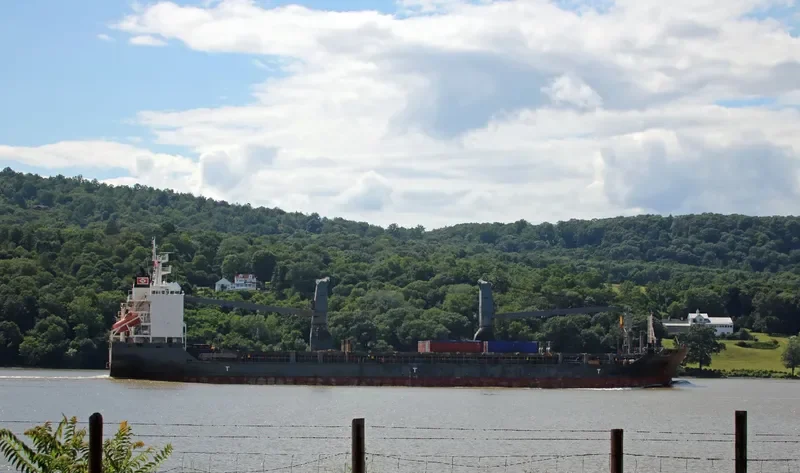 LISA AUERBACH General Cargo IMO 9388900 photo 4