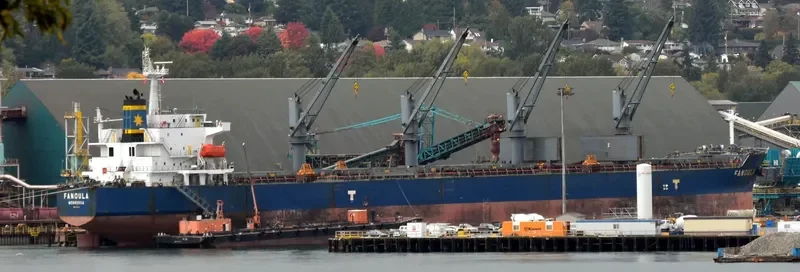 FANOULA Bulk Carrier IMO 9389112 photo 2