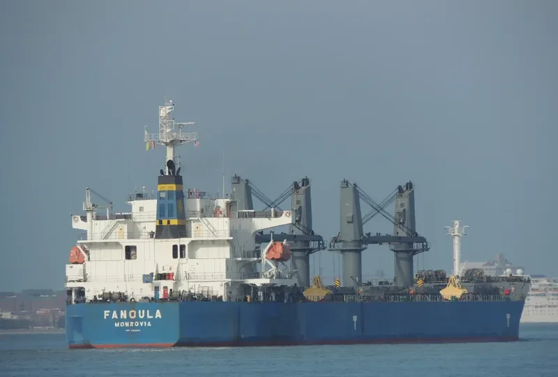 FANOULA Bulk Carrier IMO 9389112 photo 4