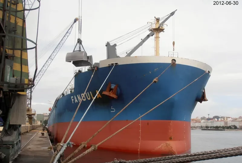 FANOULA Bulk Carrier IMO 9389112 photo 6