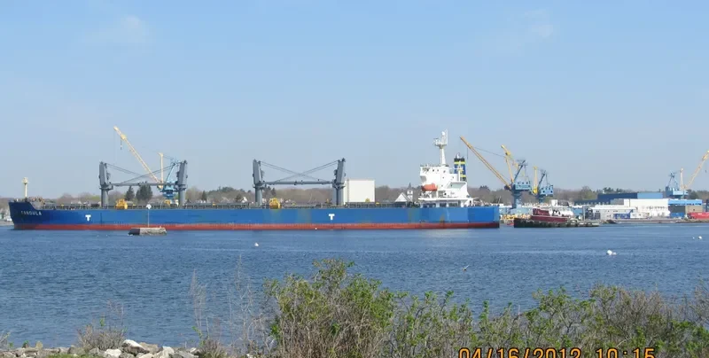 FANOULA Bulk Carrier IMO 9389112 photo 7