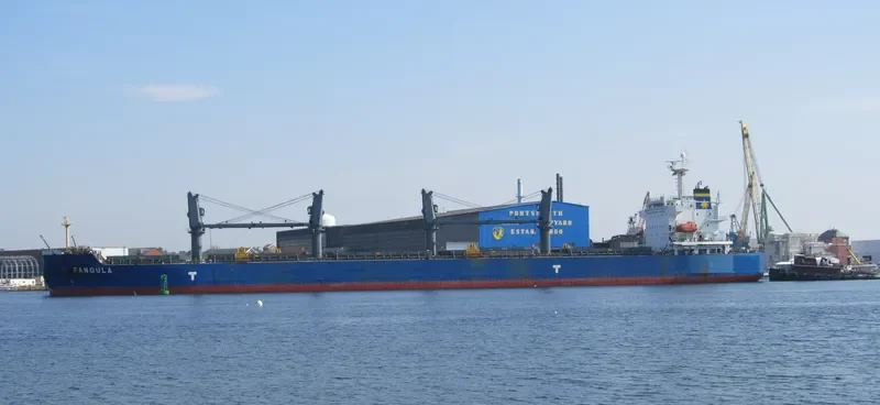 FANOULA Bulk Carrier IMO 9389112 photo 8