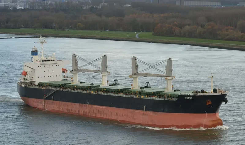 ANASA Bulk Carrier IMO 9389215