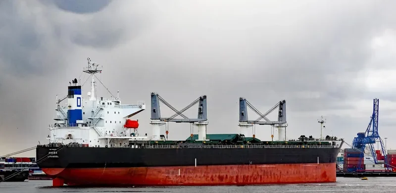 ANASA Bulk Carrier IMO 9389215 photo 2