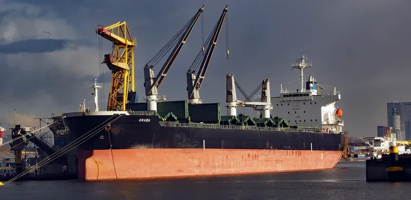 ANASA Bulk Carrier IMO 9389215 photo 3