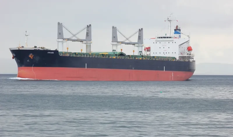 ANASA Bulk Carrier IMO 9389215 photo 4