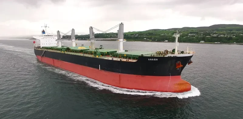 ANASA Bulk Carrier IMO 9389215 photo 6