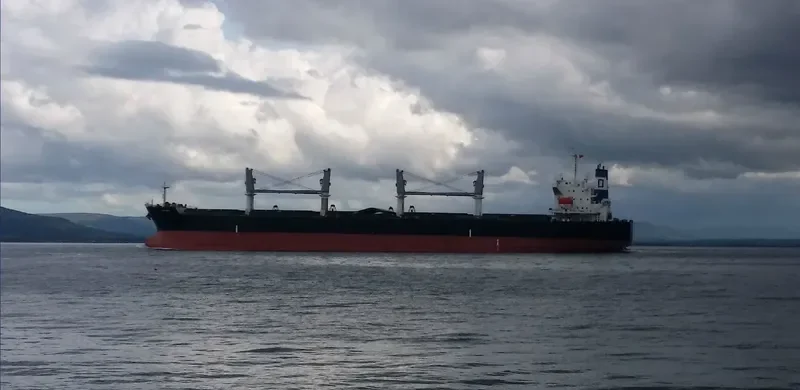 ANASA Bulk Carrier IMO 9389215 photo 7