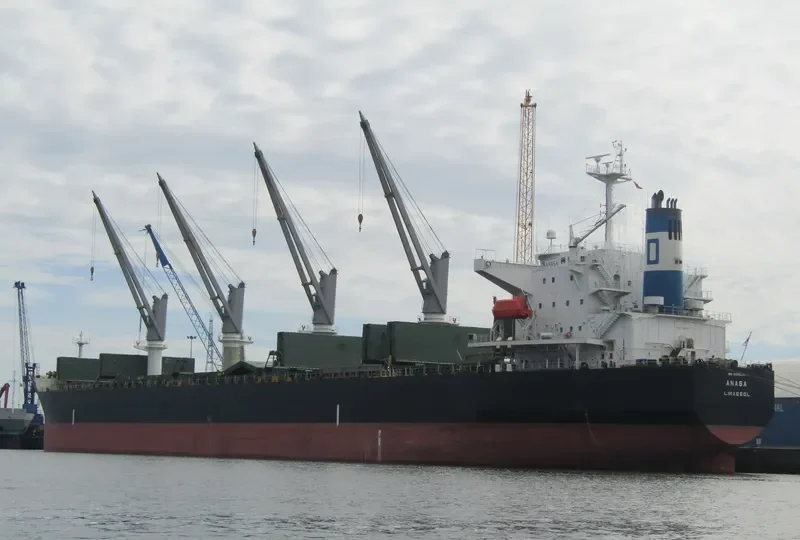 ANASA Bulk Carrier IMO 9389215 photo 10