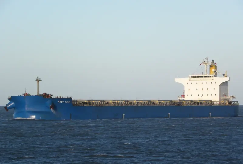 LADY GIOVI Bulk Carrier IMO 9389227