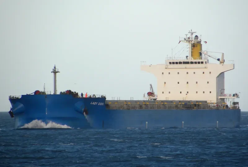 LADY GIOVI Bulk Carrier IMO 9389227 photo 2