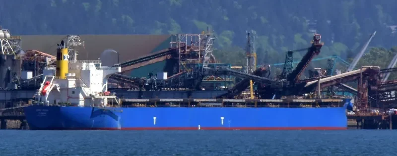 LADY GIOVI Bulk Carrier IMO 9389227 photo 3