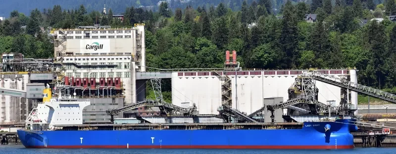 LADY GIOVI Bulk Carrier IMO 9389227 photo 4