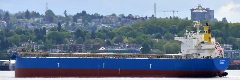 LADY GIOVI Bulk Carrier IMO 9389227 photo 5