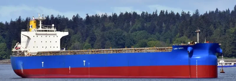 LADY GIOVI Bulk Carrier IMO 9389227 photo 6