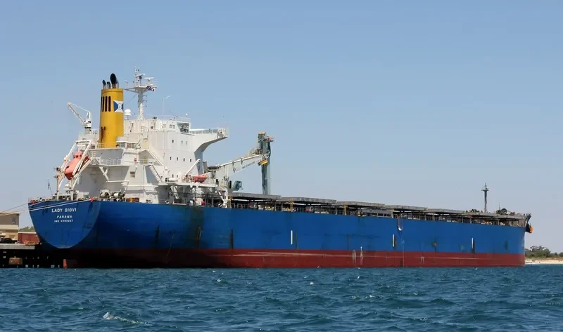 LADY GIOVI Bulk Carrier IMO 9389227 photo 7